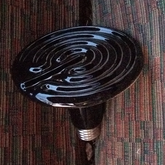 New! 250w Reptile Heat Emitter Blub. - Picture 4 of 6